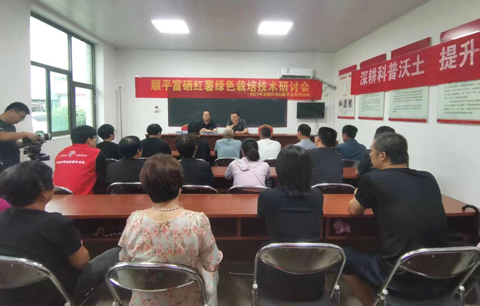 科技賦能促增收 中國農(nóng)業(yè)大學(xué)專家赴順平縣指導(dǎo)富硒紅薯種植新技術(shù)