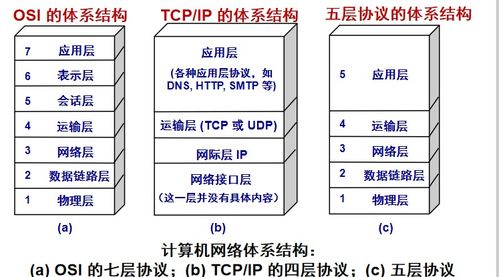 計算機網絡與計算機系統服務詳解